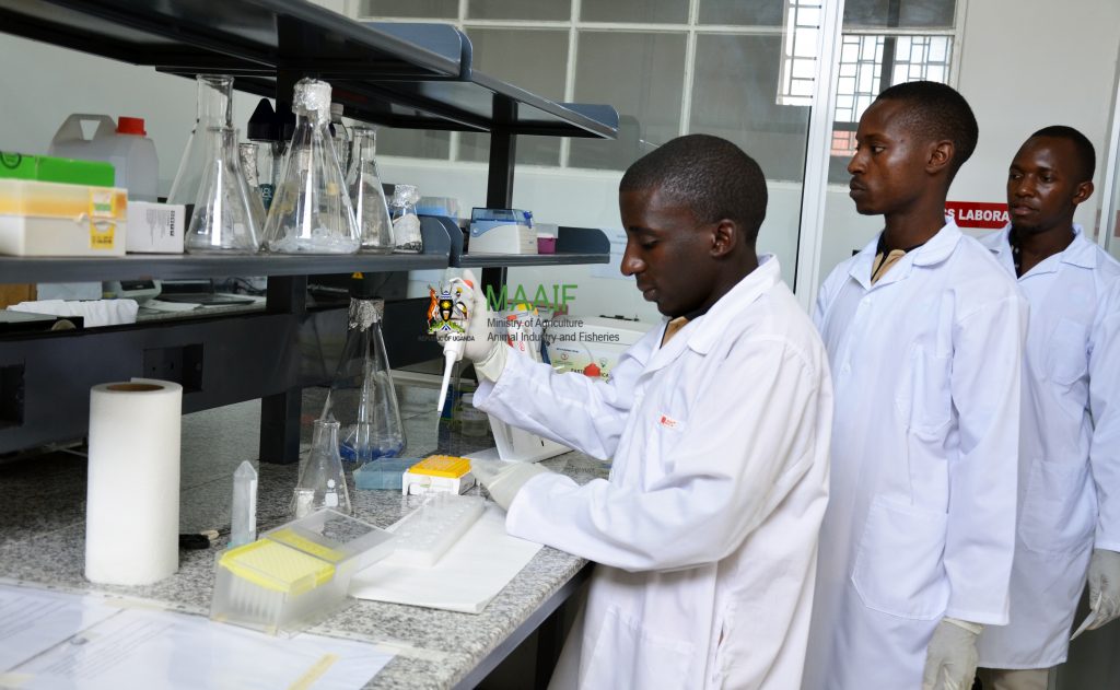 Uganda to host Regional Genebank for Eastern Africa – Ministry of Agriculture, Animal Industry and Fisheries Uganda to host Regional Genebank for Eastern Africa – Ministry of Agriculture, Animal Industry and Fisheries